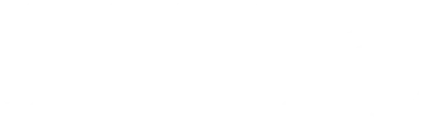 INBTEL
